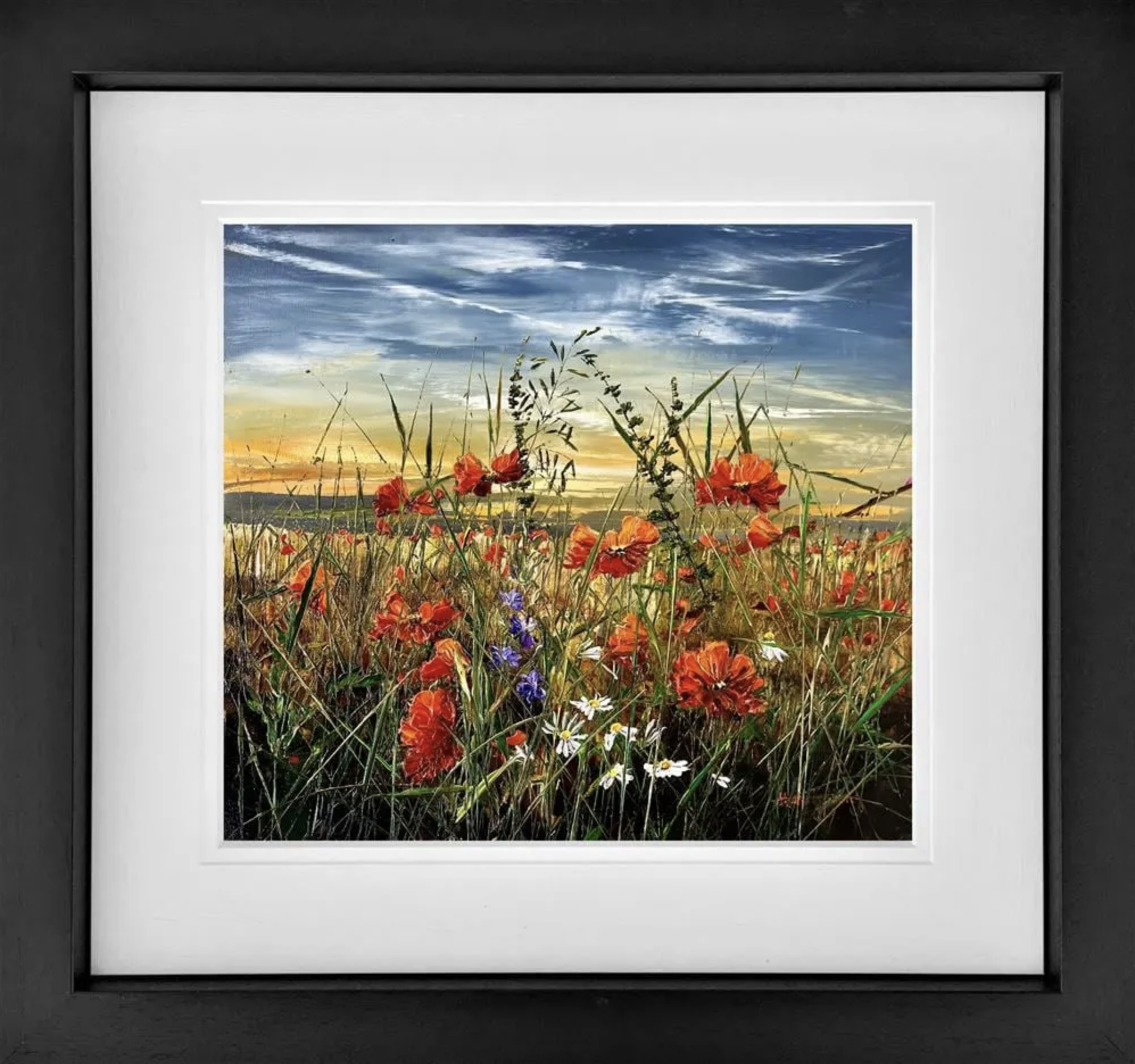 A New Day Framed Print