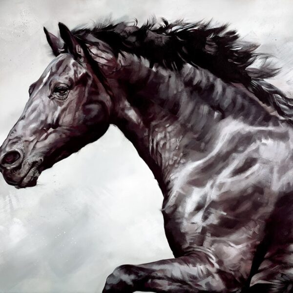 The Conqueror limited edition print
