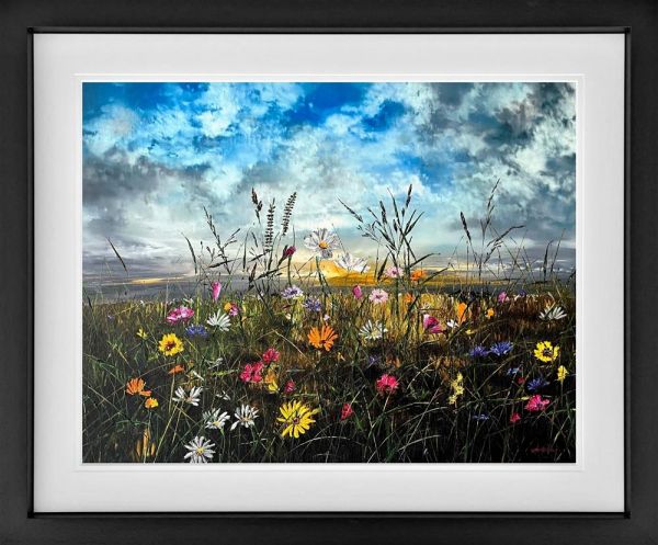 Dawn to Dusk Framed Print